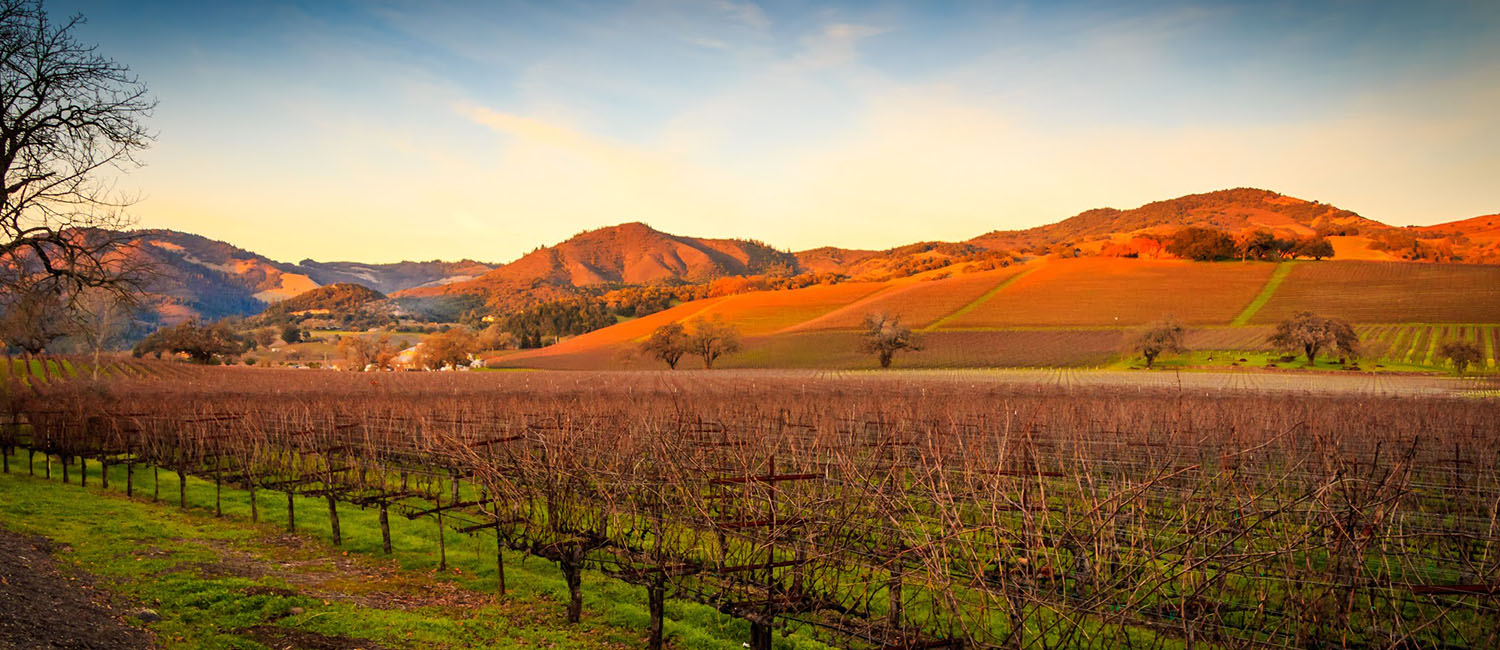 NESTLED WITHIN THE HEART OF SONOMA COUNTY